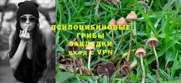 PSILOCYBIN Армянск
