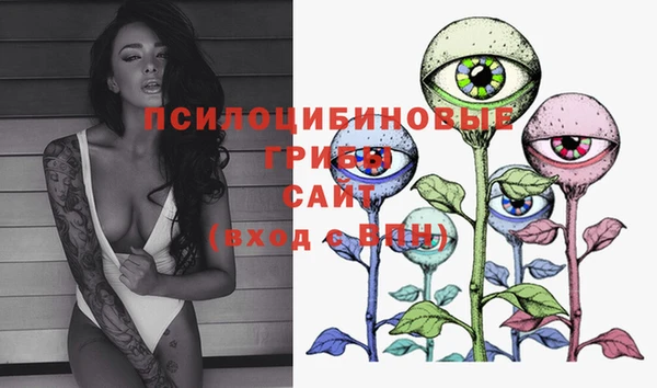 PSILOCYBIN Армянск